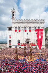 Festa dei Ceri